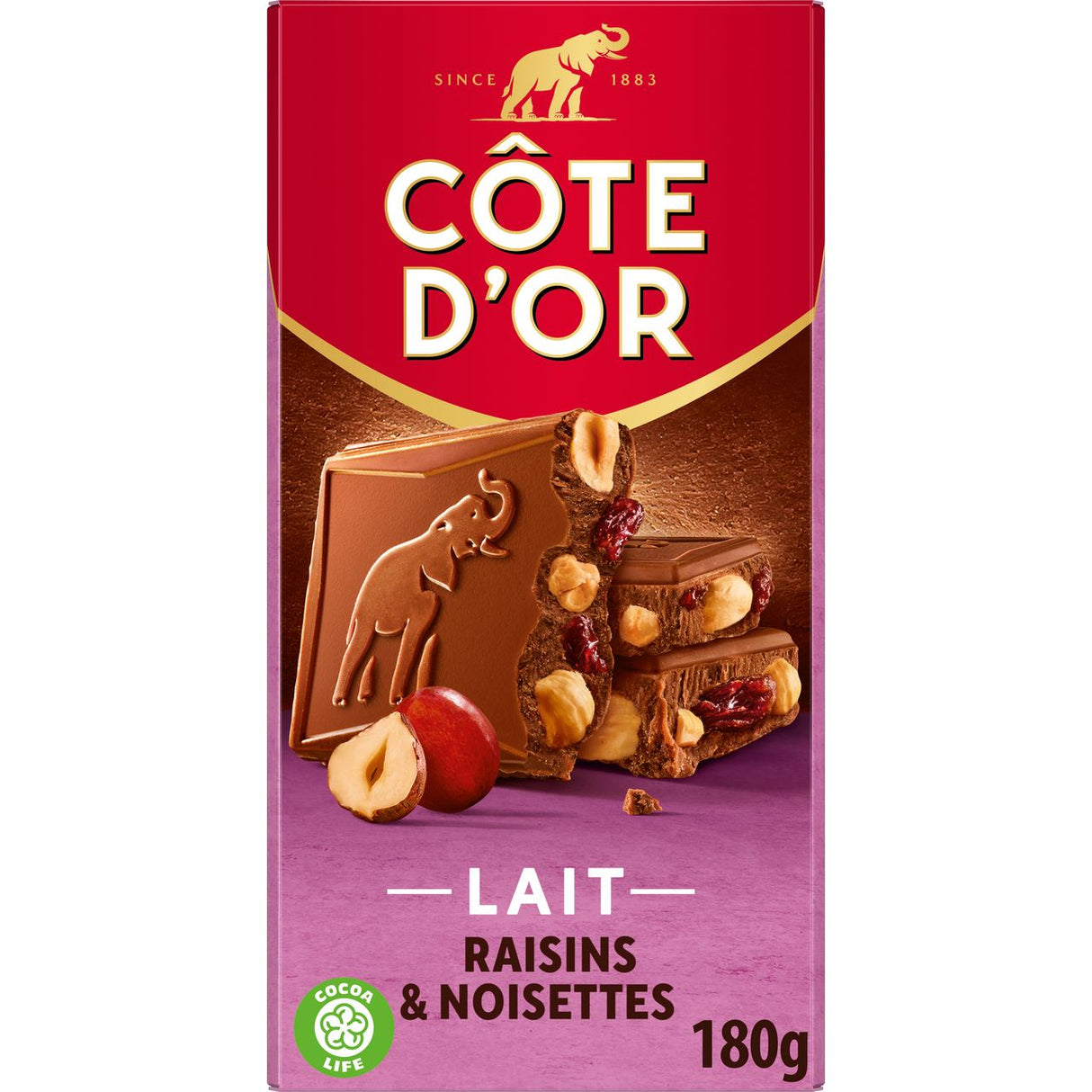 MILK CHOC RAISIN HAZELNUT (#128409)