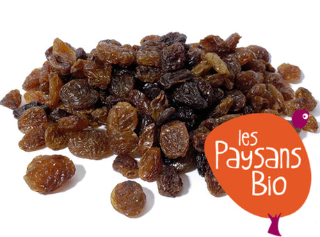Raisins Secs Bio