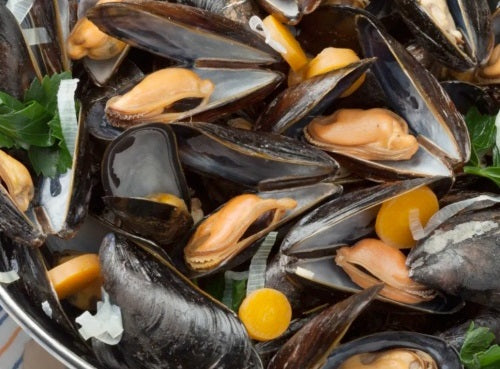 Moules de Hollande MSC Peche durable
