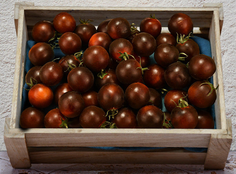Tomate Violette