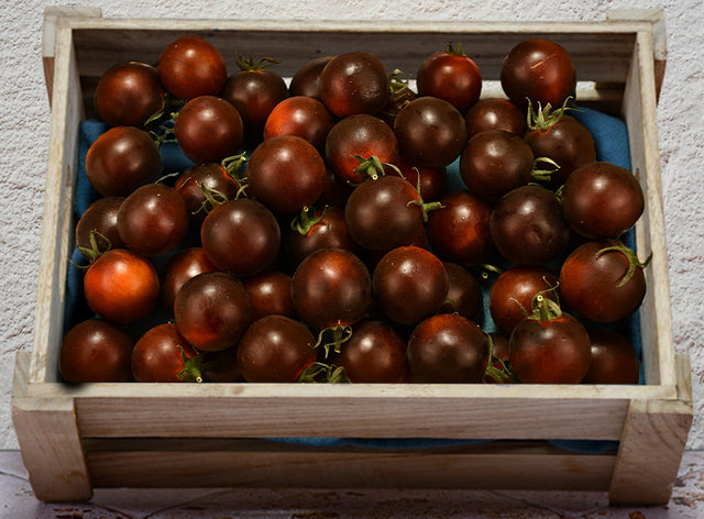Tomate Violette