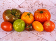 Tomate Collection Ancienne