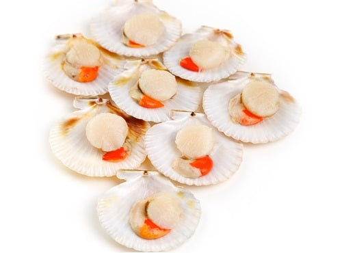 Demi Coquilles St Jacques