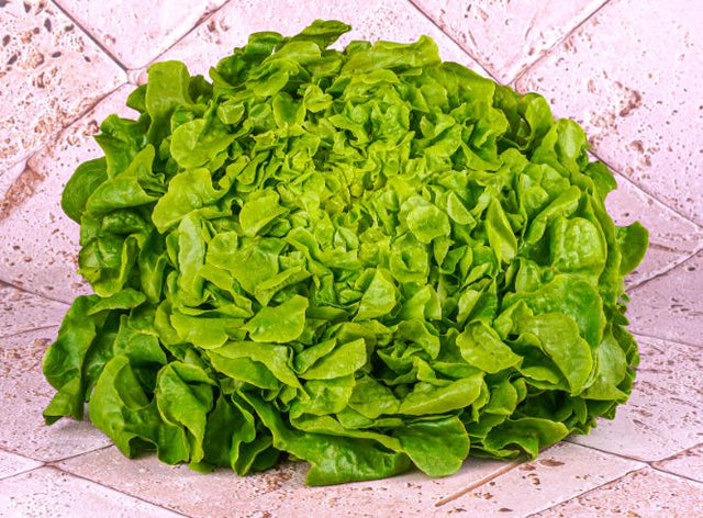 Feuille De Chene Blonde Bio Sachet Vrac