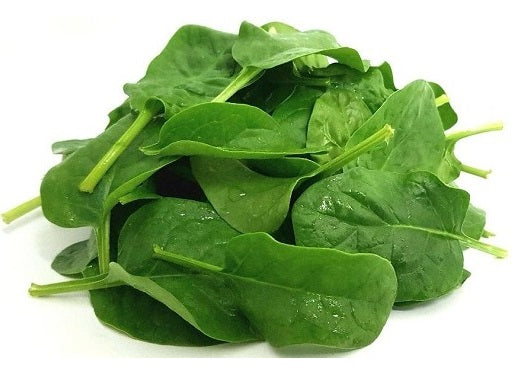 Epinard Jeune Pousse Bio