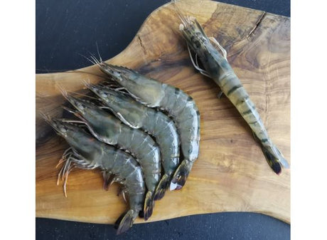 Crevettes tigrees entieres