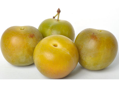 Prune Reine-Claude Doree Bio