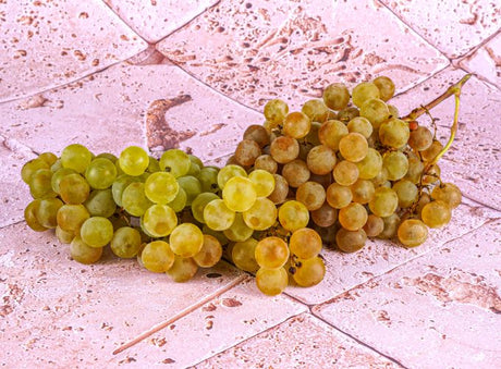 Raisin Blanc Chasselas Bio