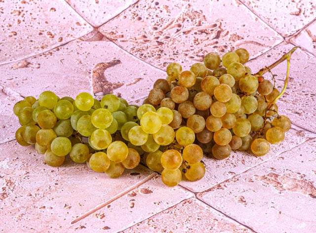 Raisin Blanc Chasselas Bio