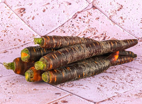 Carotte Violette, Variete Ancienne