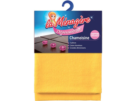 Chamoisine Depoussierage