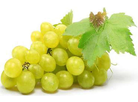 Raisin Blanc Sans Pepins