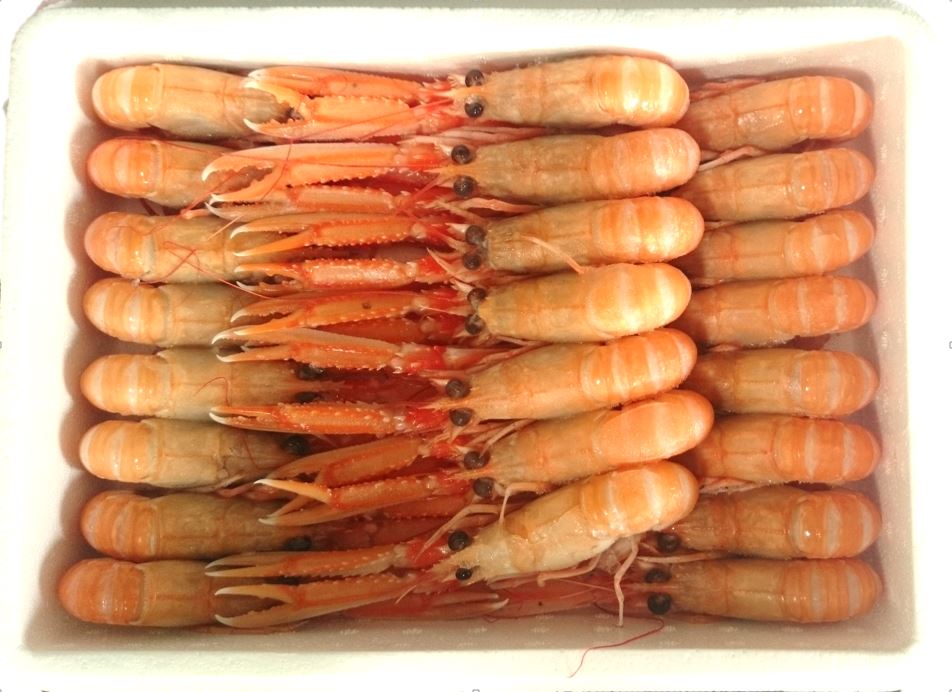 Langoustines - Taille Moyenne