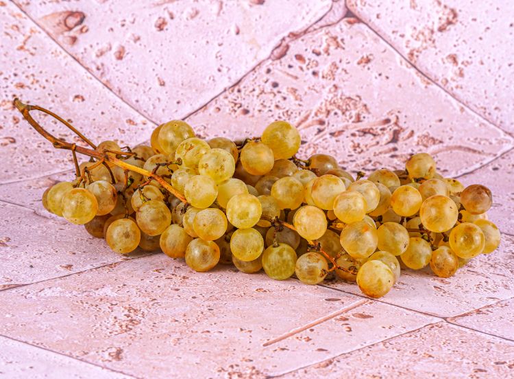 Raisin Chasselas Aop