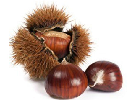 Chataigne Marigoule Bio