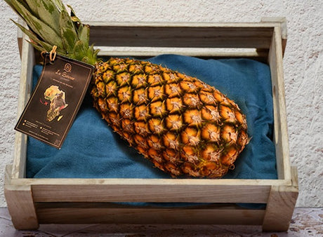 Ananas Pain De Sucre Bio