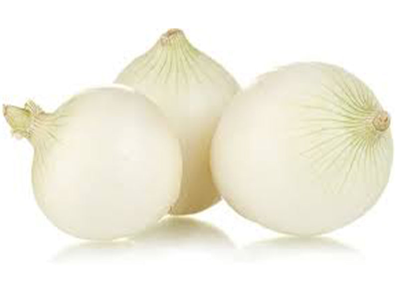Oignon Blanc Bio