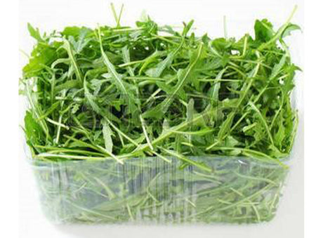 Salade Roquette Bio