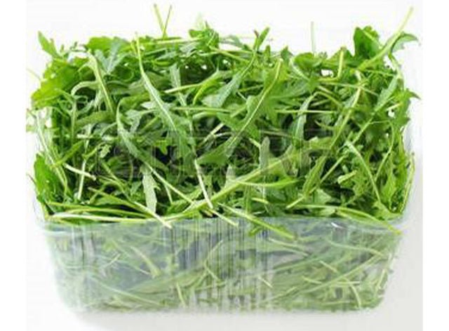 Salade Roquette Bio