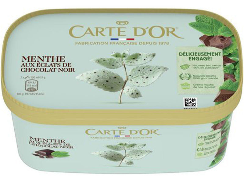 Creme glacee a la menthe et aux eclats de chocolat noir