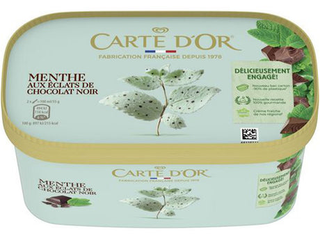 Creme glacee a la menthe et aux eclats de chocolat noir