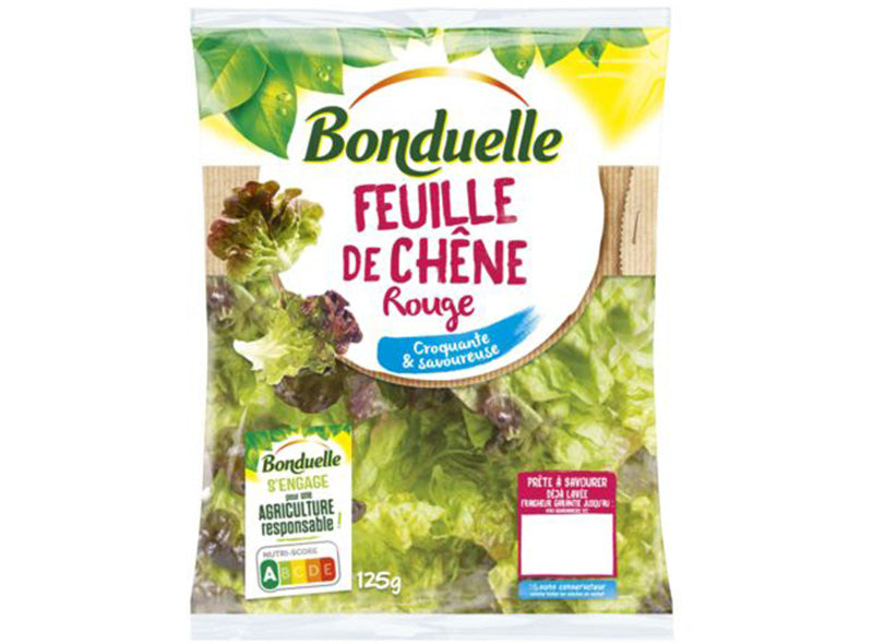 Salade Feuille De Chene Rouge