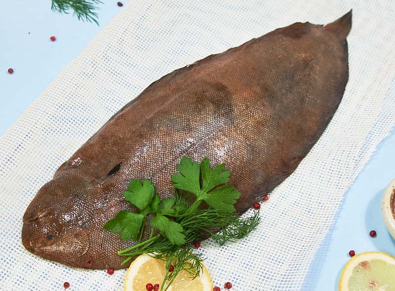 Sole de Vendee poisson frais