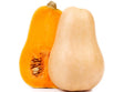 Courge Butternut Bio