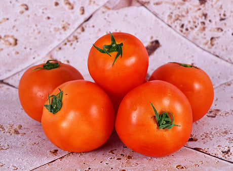 Tomate Ronde Bio