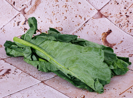 Chou Chinois Kailaan Bio