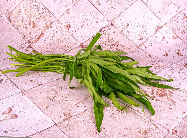 Epinard Kang Kong Bio