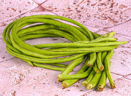 Haricot Long Bio