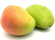Mangue Bio