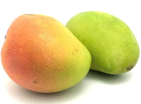Mangue Bio