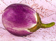 Aubergine Ronde Violette