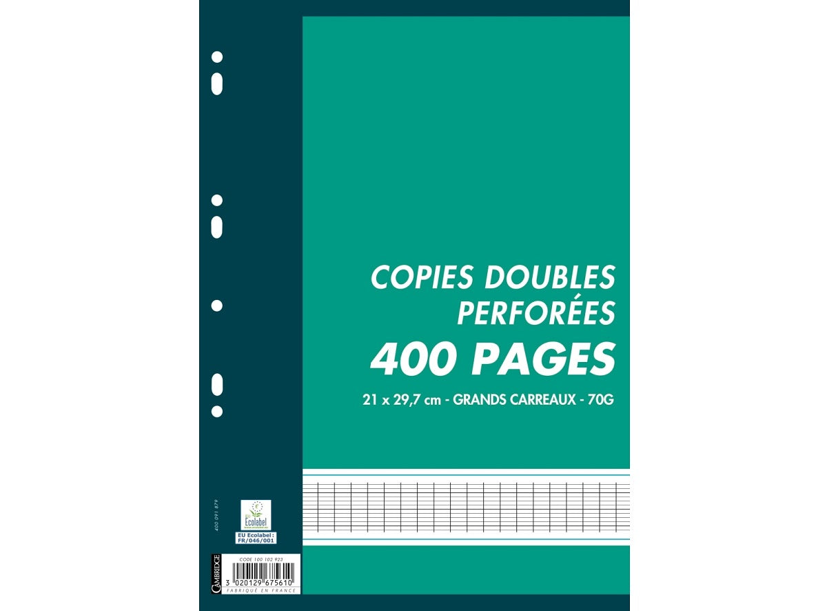 100 Copies Doubles Perforees Grands Carreaux A4
