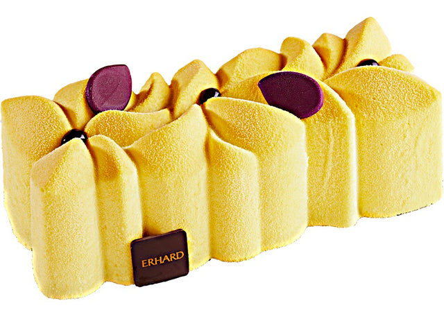 Buche Glacee Artisanale Coco Exotique