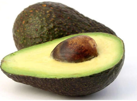 Avocat Hass