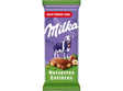 Tablette De Chocolat Au Lait Et Aux Noisettes Entieres