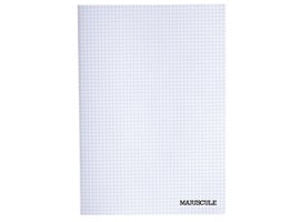 Cahier Petits Carreaux 96 Pages 21X29.7Cm