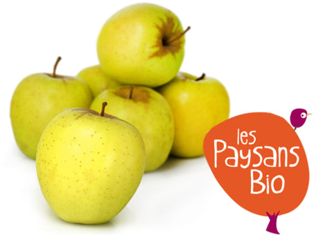 Pomme Golden Delicious Bio Tres Grosses, ~2 Fruits