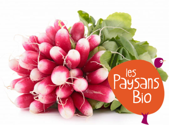 Radis Bio