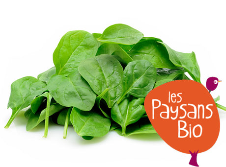 Melange De Jeunes Pousses Bio