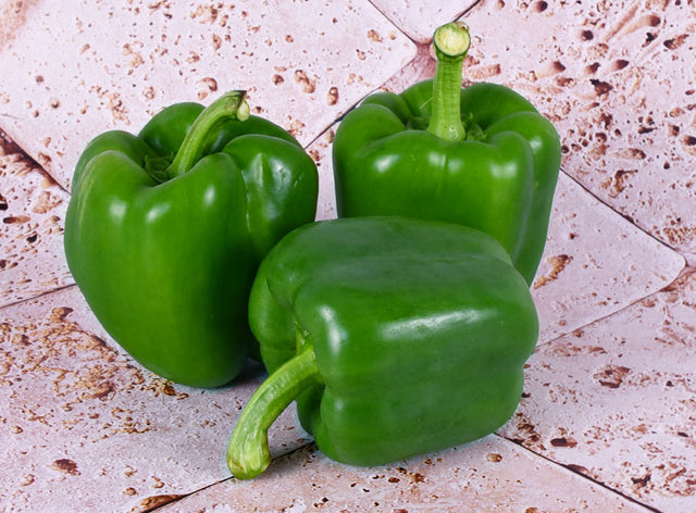 Poivron Vert