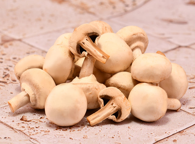 Champignon Blanc