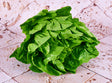 Laitue Romaine