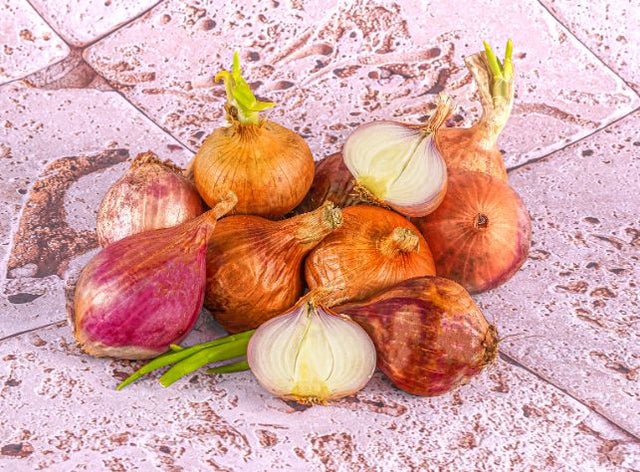 Echalottes Rondes