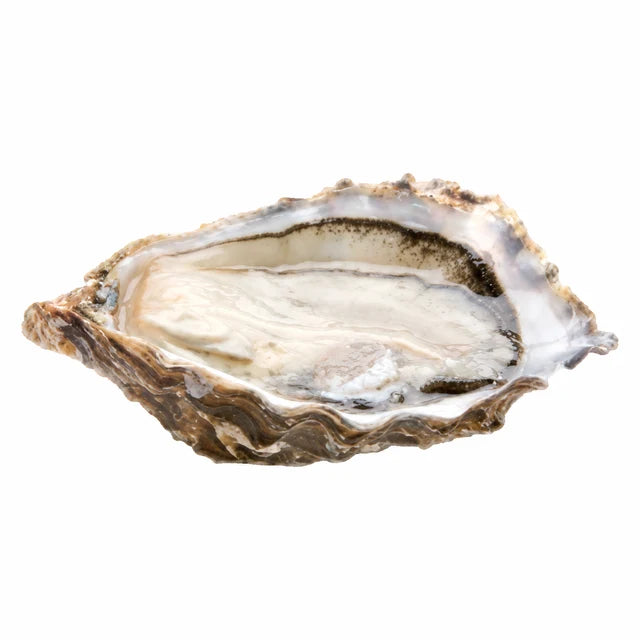 SPECIAL CLAIRE OYSTERS NO2 24PC (GRAND CRU) (#122600)
