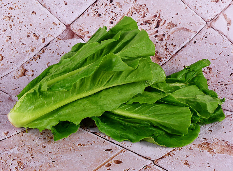 Laitue Romaine Bio