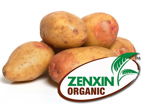 Pomme De Terre King Edward Bio